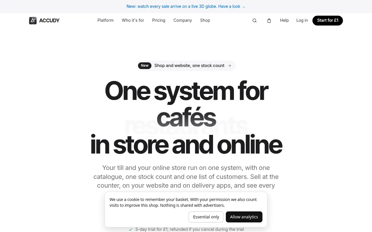 Homepage of accudy.com