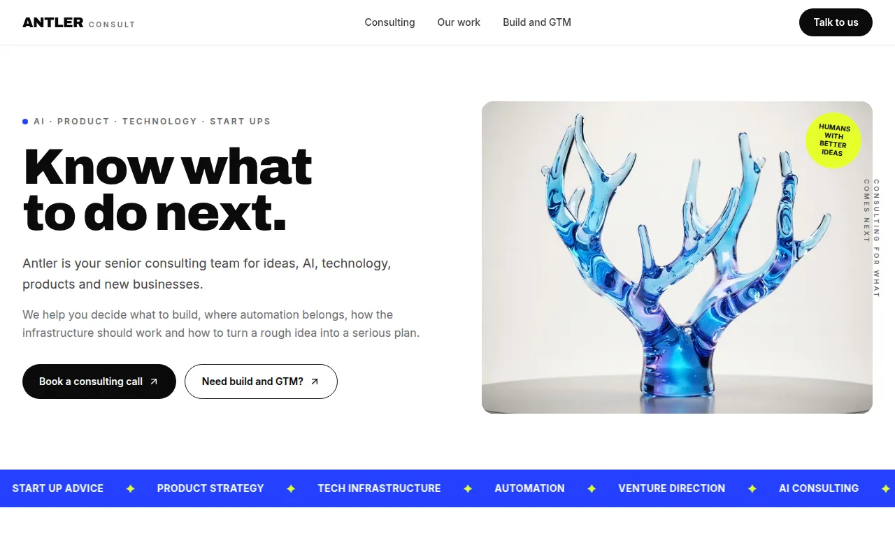 Homepage of antlerconsult.com