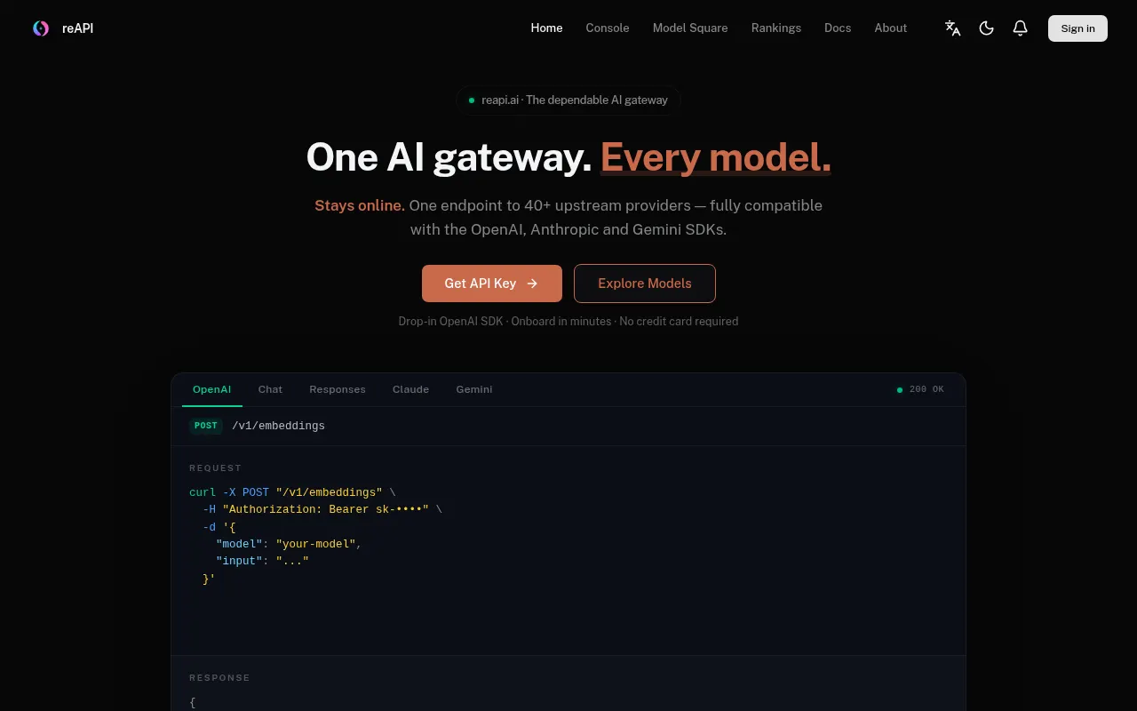 Homepage of api.reapi.ai