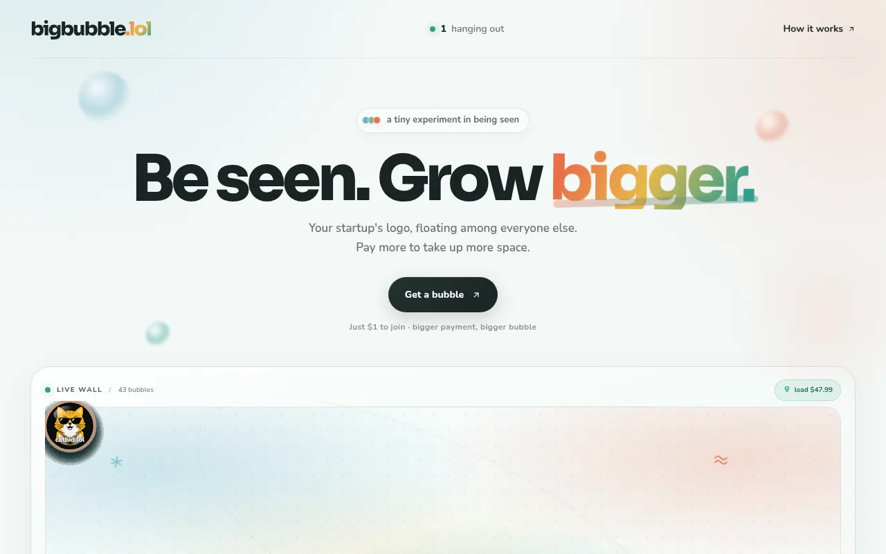 Homepage of bigbubble.lol