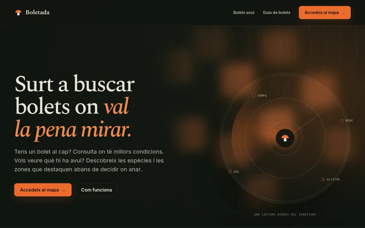 Homepage of boletada.cat