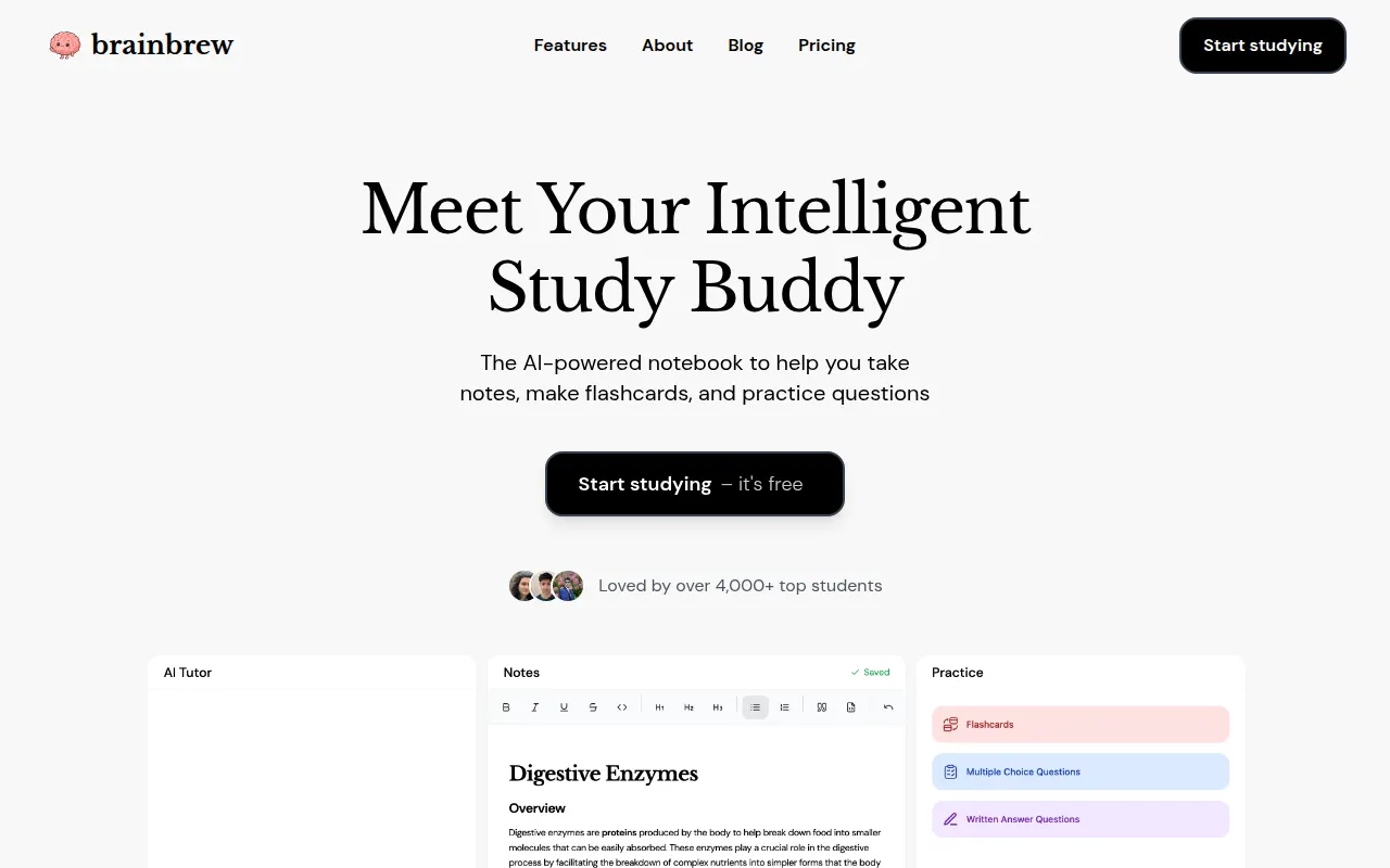 Homepage of brainbrewstudy.com