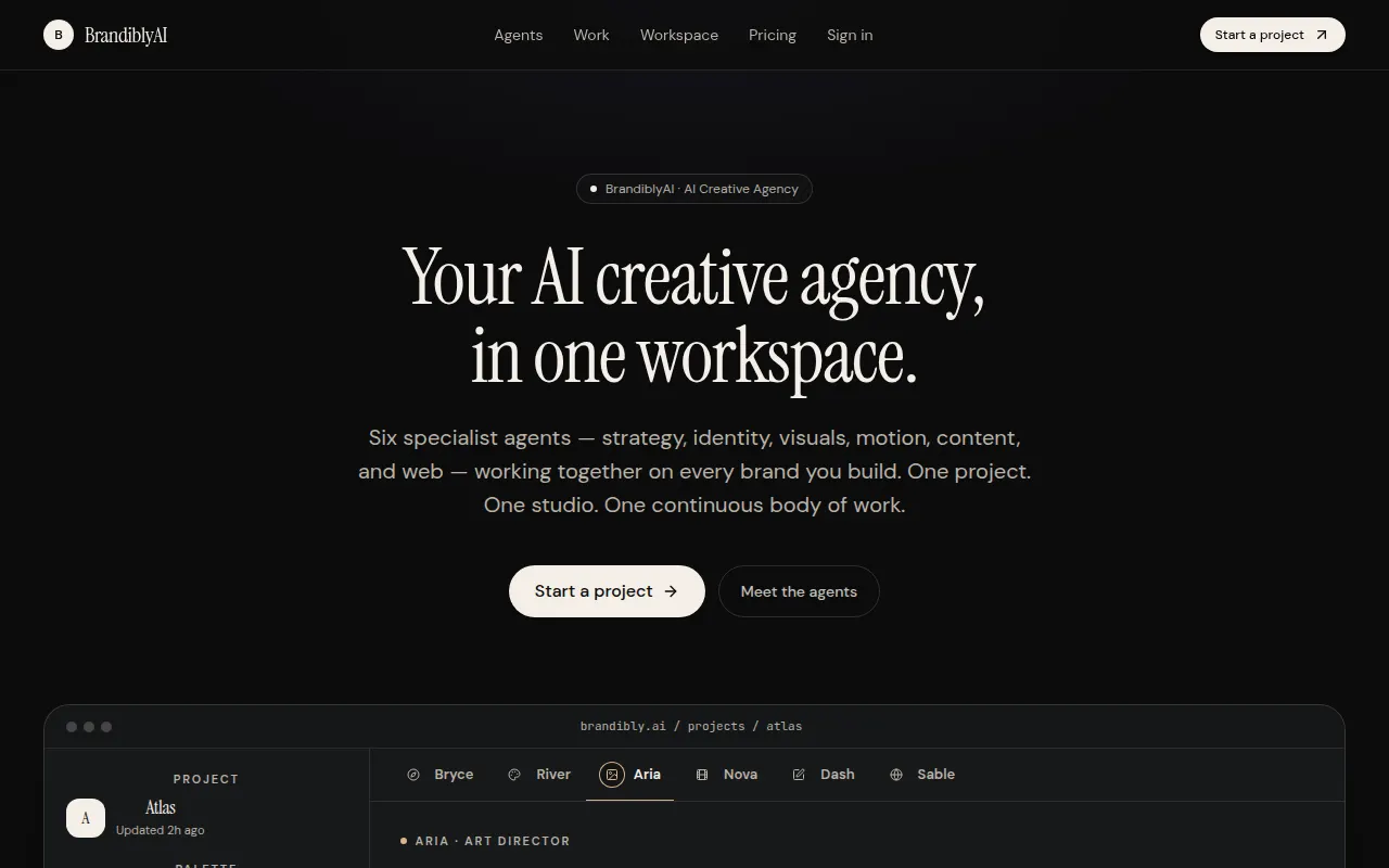 Homepage of brandiblyai.com