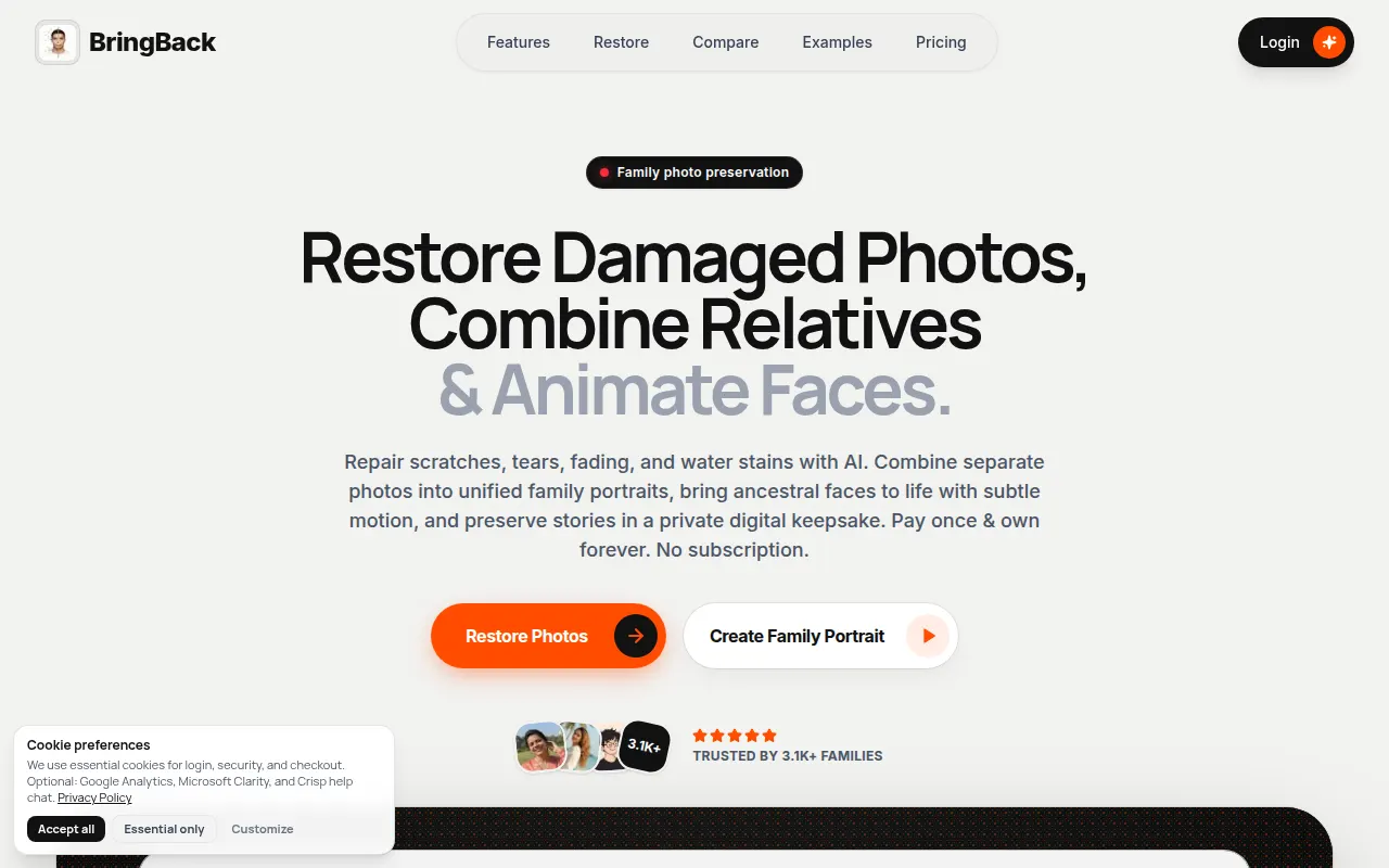 Homepage of bringback.pro