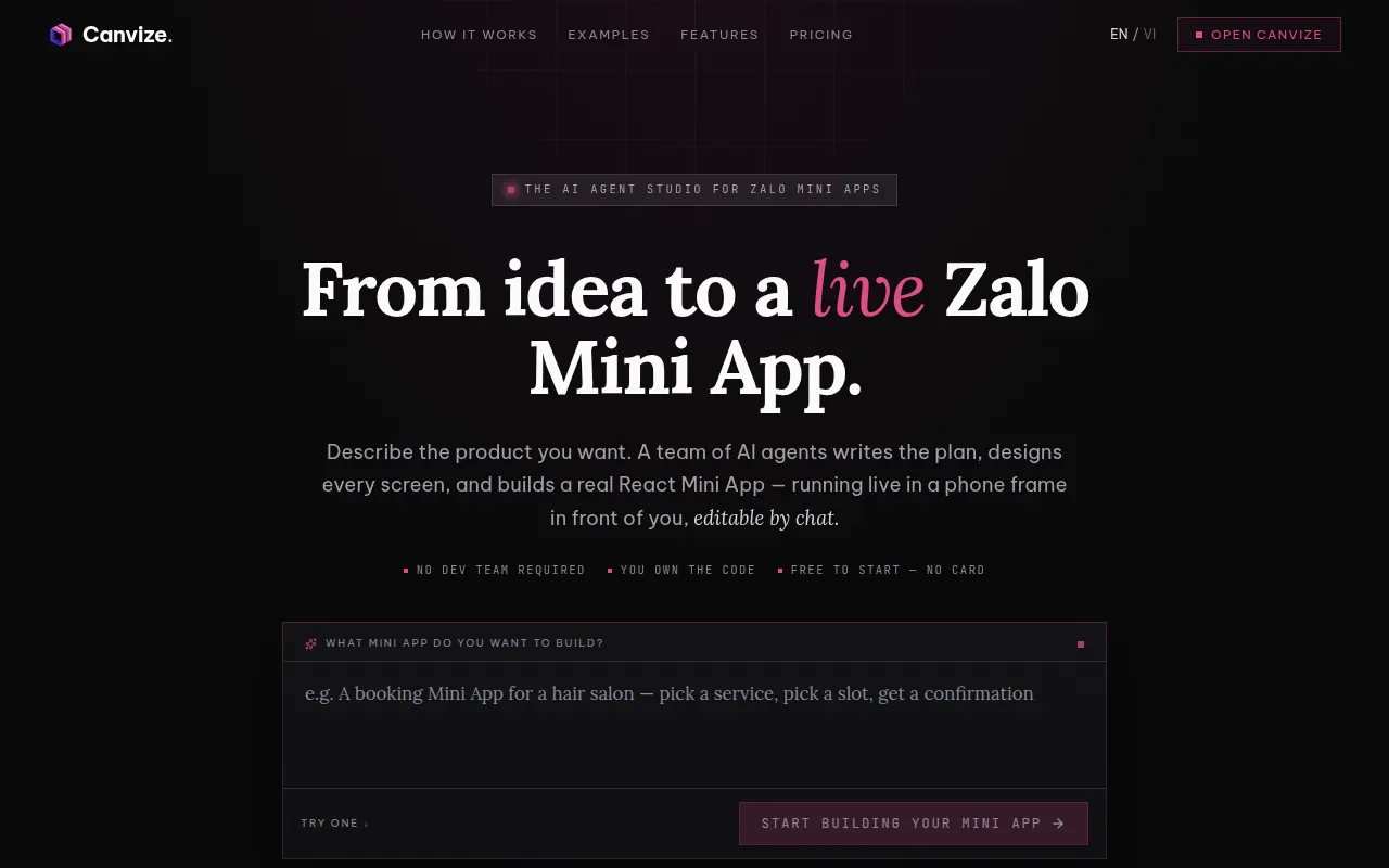 Homepage of canvize.ai