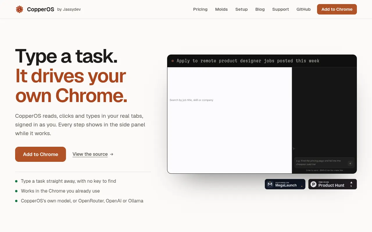 Homepage of copper.jassydev.com