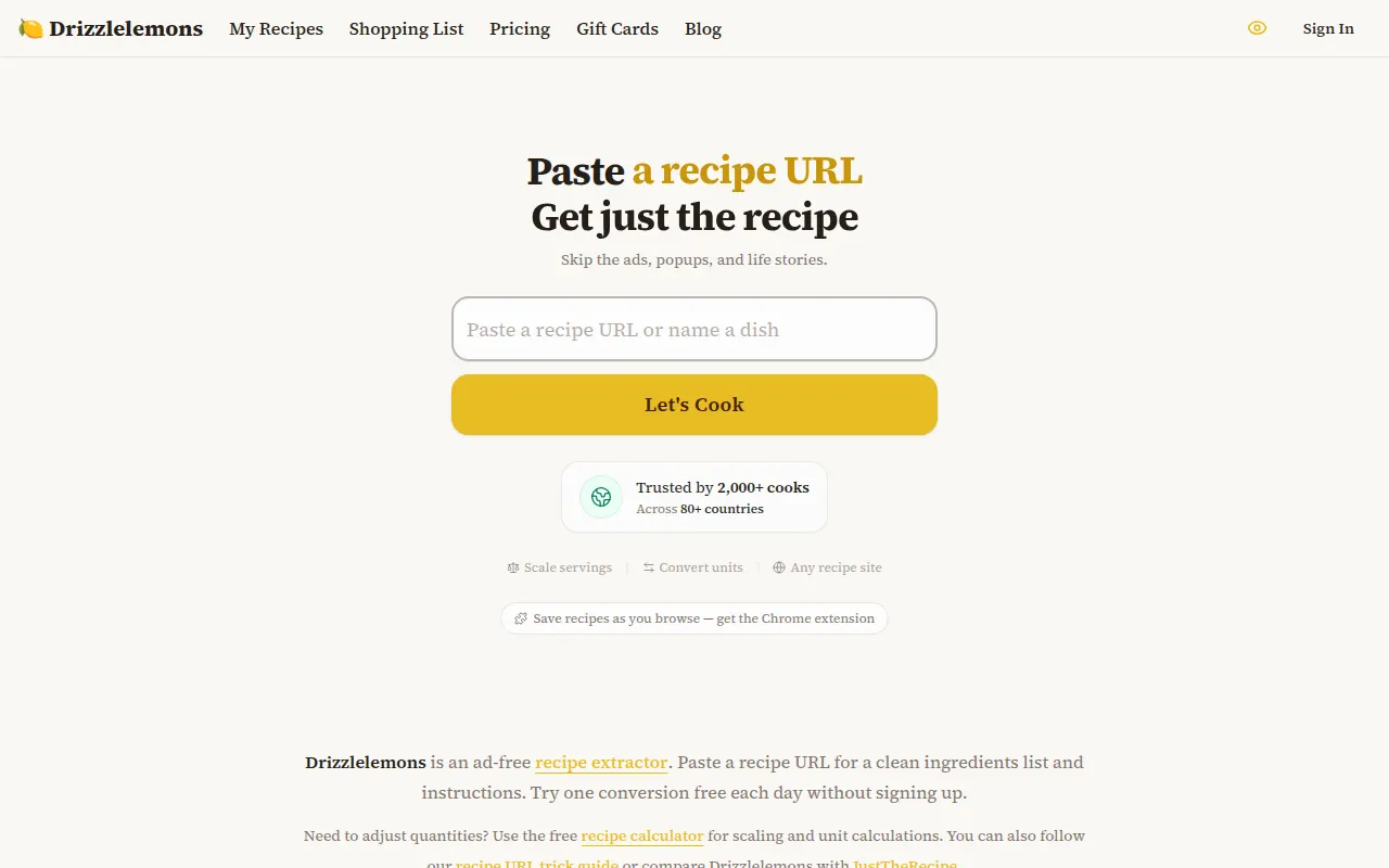 Homepage of drizzlelemons.com