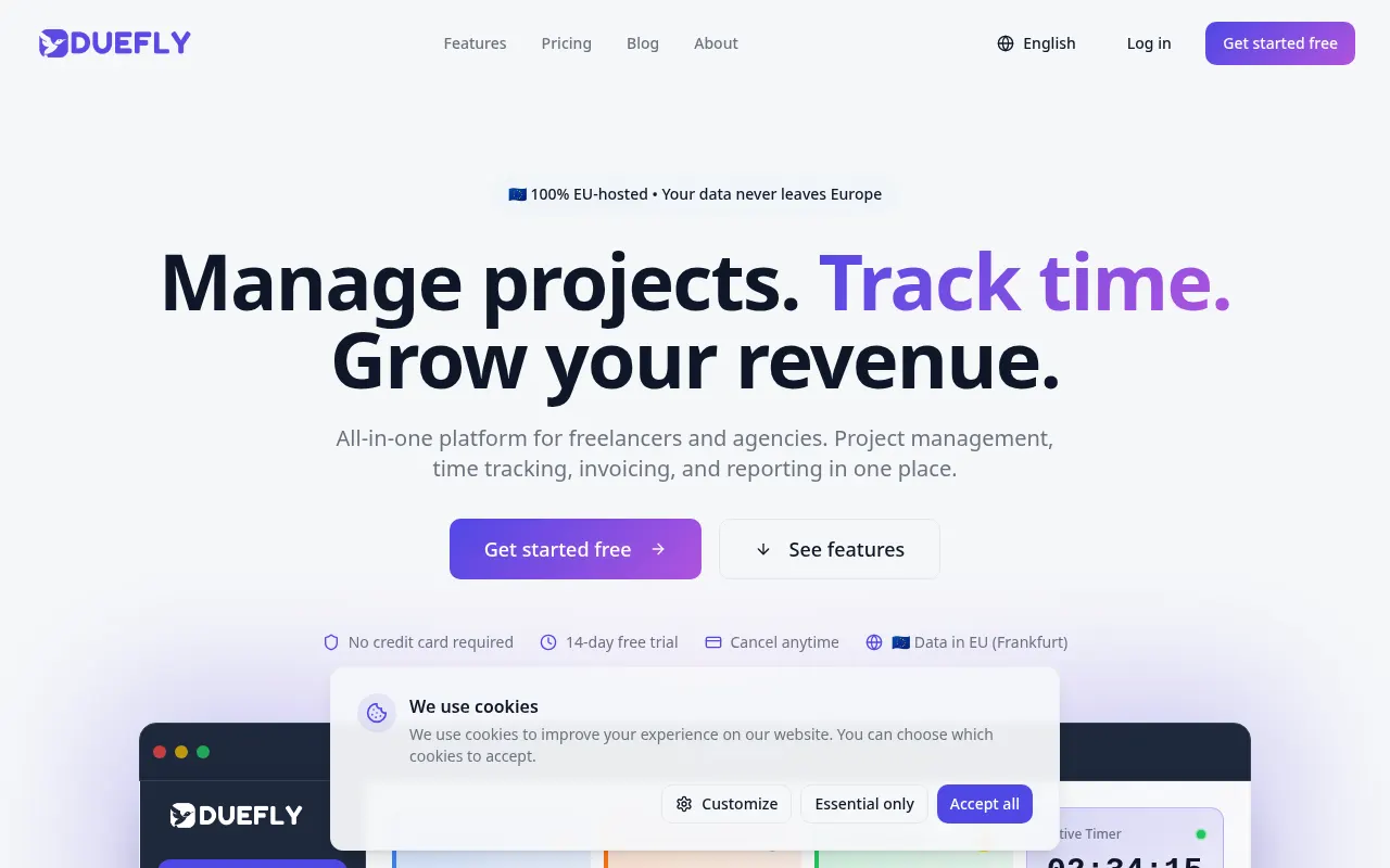 Homepage of duefly.com